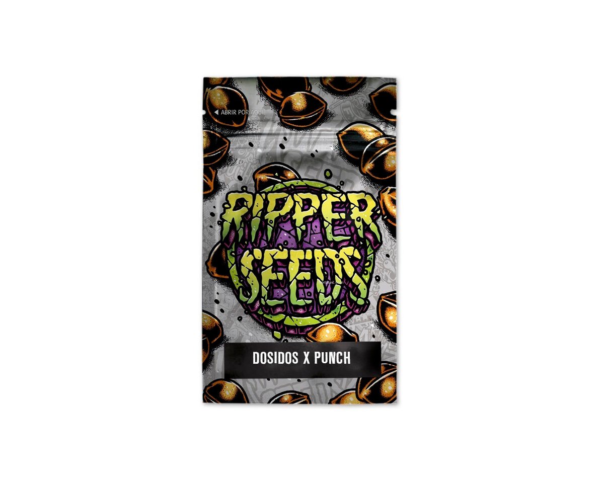 351484_do-si-dos-x-purple-punch-ripper-seeds.jpg