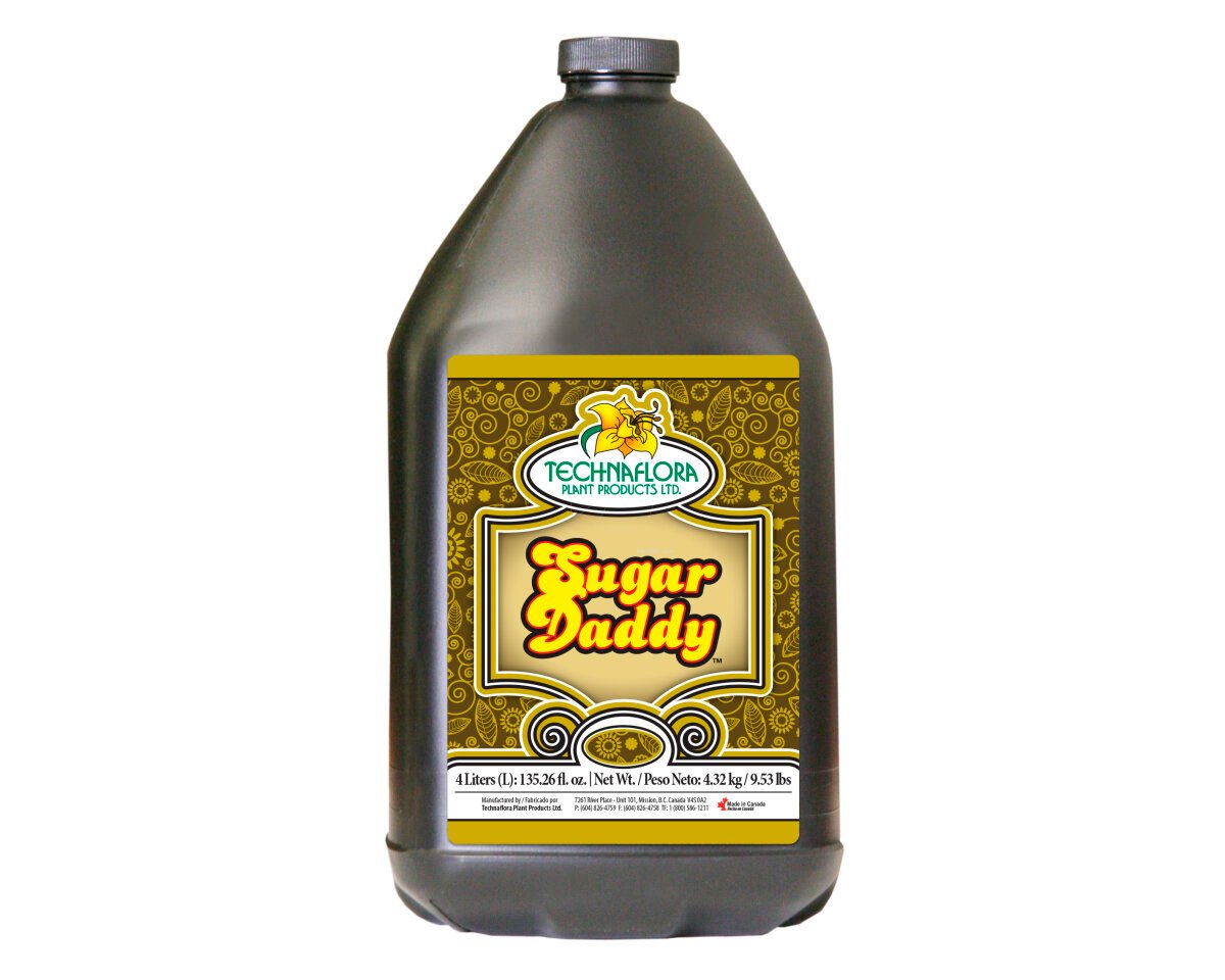 700379-sugardaddy-4l.jpg