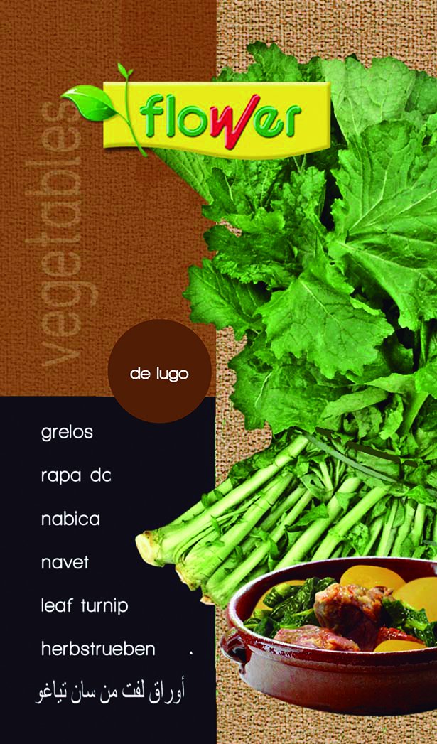 FACING GRELOS DE LUGO 3.psd