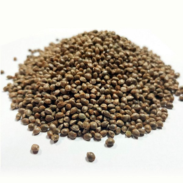 Auto-Critical-x-Auto-AK-47-Granel-100-ud.jpg