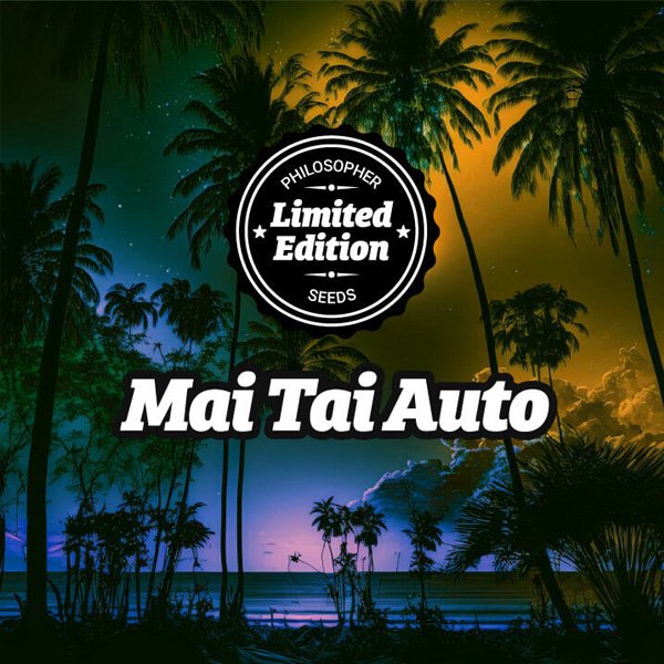 Auto-Mai-Tai-5-u-fem-EdEspecial-Philosopher.jpg