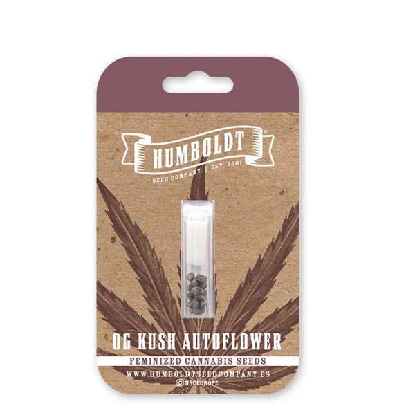 Auto-OG-Kush-3-u-fem-Humboldt-Seeds-Company.jpg