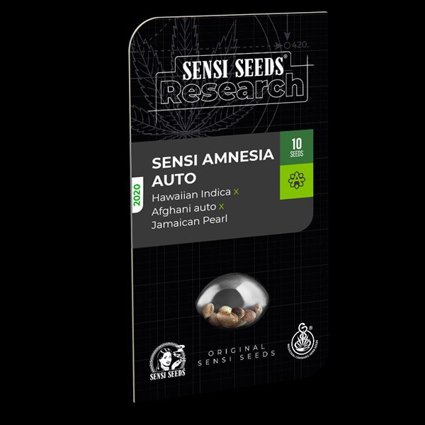 Auto-Sensi-Amnesia-3-u-fem-Sensi-Seeds-Research.jpg
