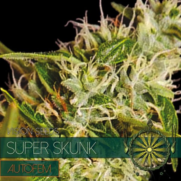 Auto-Super-Skunk-31-u-fem-Vision-Seeds.jpg
