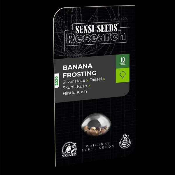 Banana-Frosting-3-u-fem-Sensi-Seeds-Research.jpg