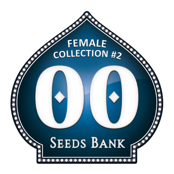 Female-Collection-2-00-Seeds.jpg