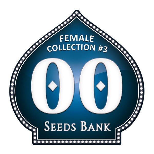 Female-Collection-3-00-Seeds.jpg