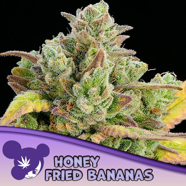 Honey-Fried-Bananas-3-u-fem-Anesia.jpg