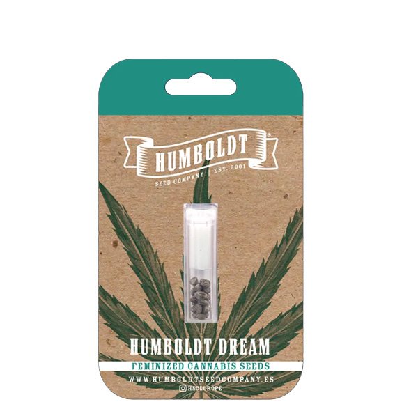 Humboldt-Dream-3-u-fem-Humboldt-Seeds-Company.jpg