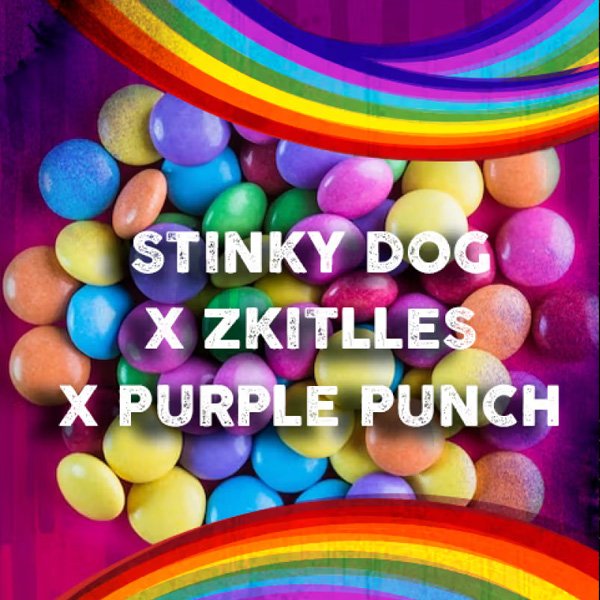 Stinky-Dog-x-Zkittles-3-u-fem-Tramuntana-Seeds.jpg