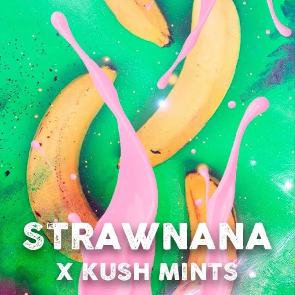 Strawnana-Mints-3-u-fem-Tramuntana-Seeds.jpg